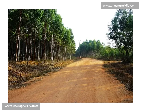 现场直击：深入探访某地重大事件现场全景报道及最新动态追踪